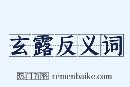 玄露反义词是什么意思的图片